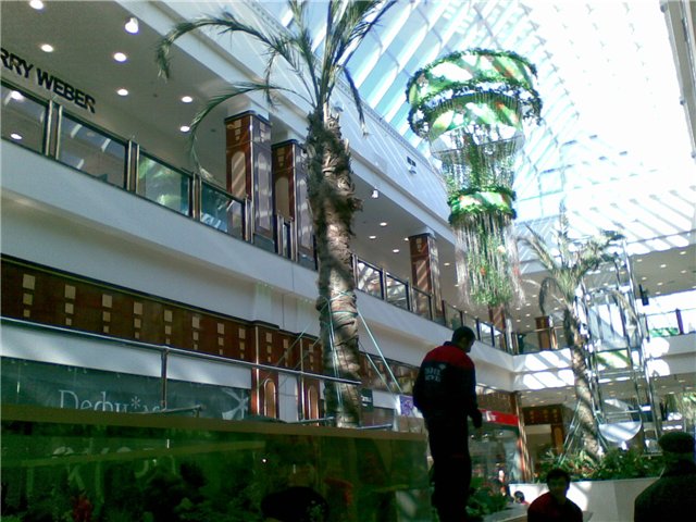 рио торговый центр 
